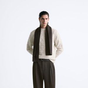 Zara Men's Textured Sweater (Offwhite)